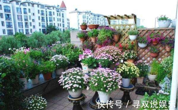 盆栽|养花不会施肥记住3点就行了，学会了“一生受用”