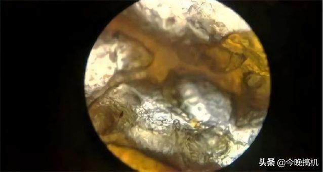 辣条到底是不是垃圾食品显微镜下放大120倍，终于敢大胆地吃了