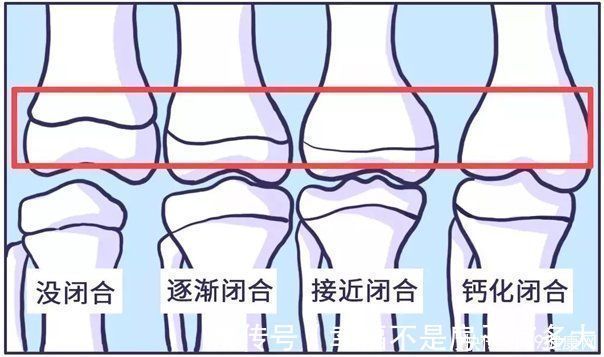 长高|最佳儿童身高参照表，男孩女孩全都有，看看你家孩子合格没