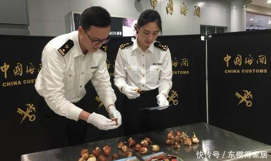 养花得遵守“规则”,知道哪些“底线”不能踩,什么花不能栽?