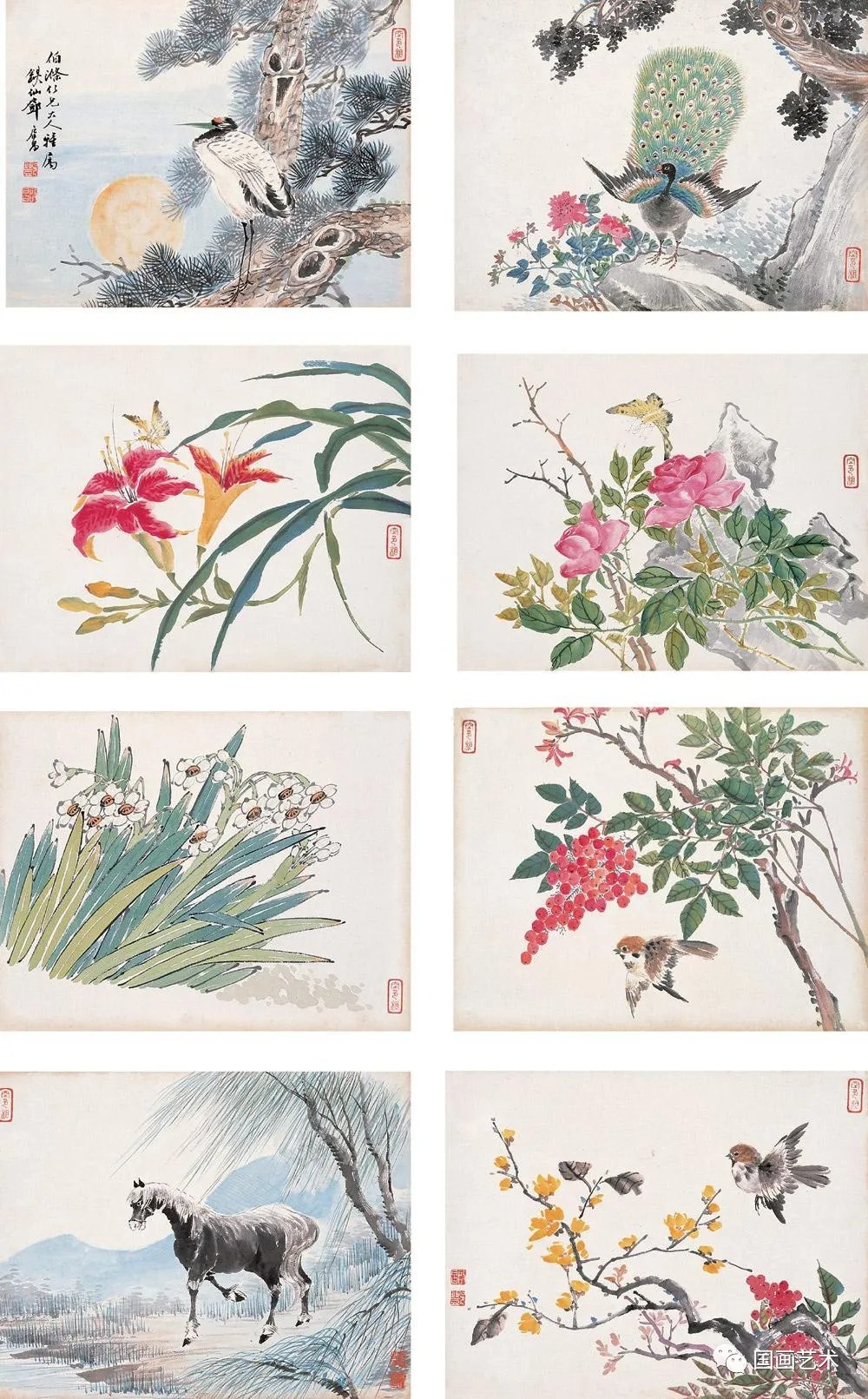 秋菊@跛道人笔下的秋菊,明媚绚丽