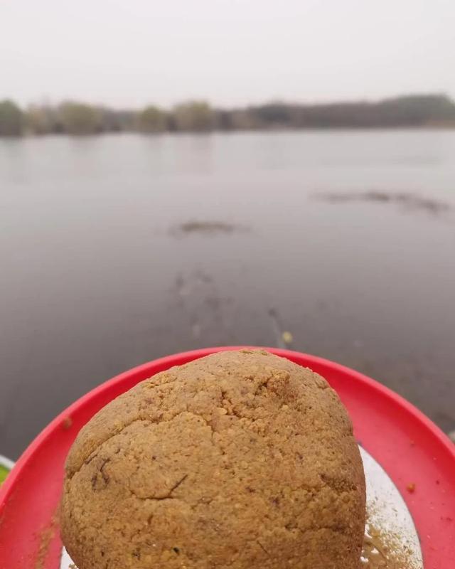  巧用|巧用生鲜鲫鱼饵，小野河爆连