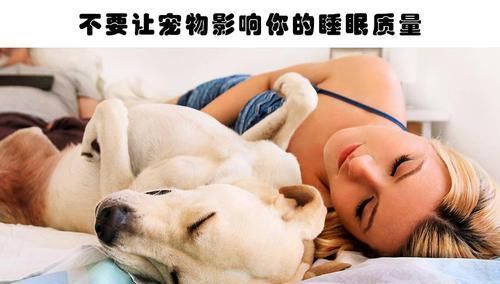 让你更为容易入睡的10条睡眠规则