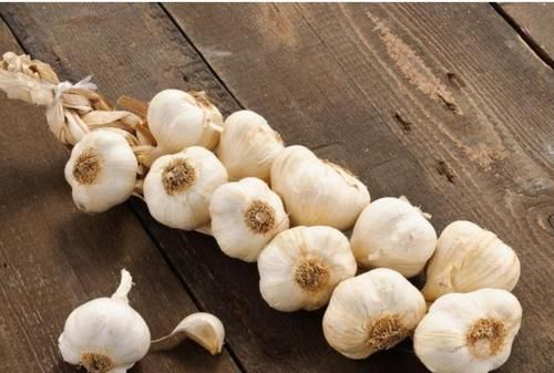 在你身边|藏在身边的“天然避孕药”,备孕期的小夫妻需忌口,或能迎接好孕