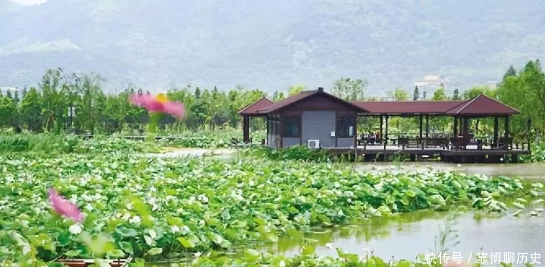 涝区变粮区再成景区，看天井垟田园综合体变形记！