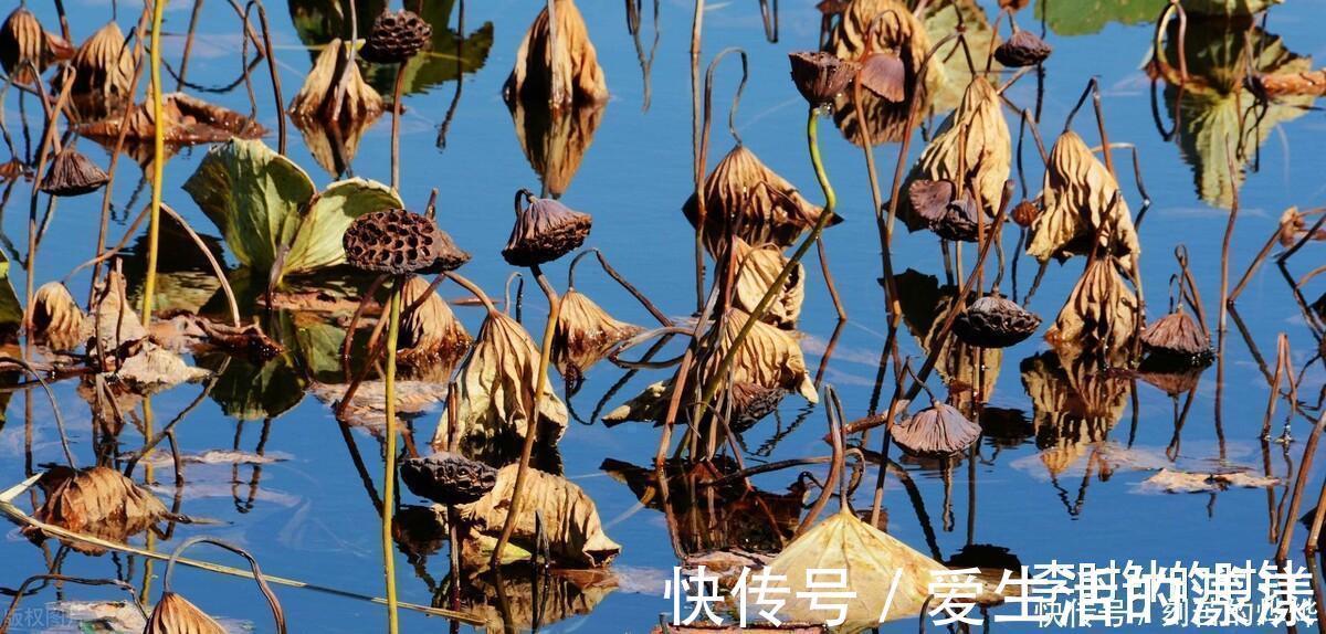 情诗&新婚燕尔,李商隐写下一首诗赠给妻子,堪称大唐最美的情诗