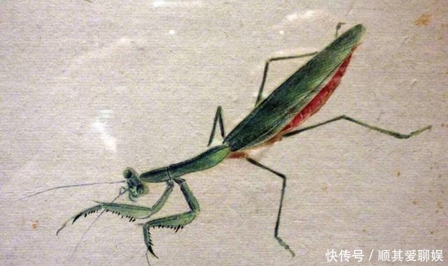 把齐白石的草虫放大,这不是照片,这是白石老人的工笔草虫!