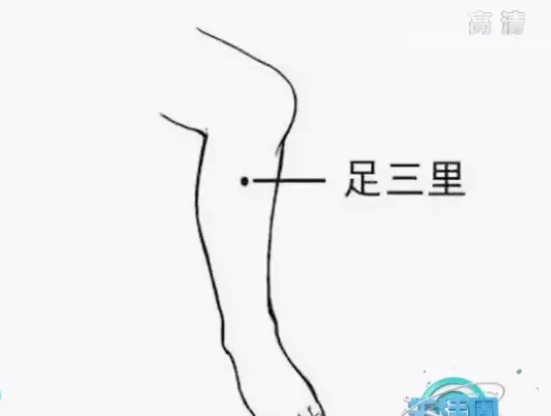 蜂蜜|寒露节气到,如何科学养生?