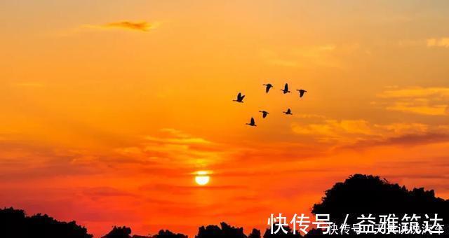 辋川闲居赠裴秀才迪|十首落日诗词:莫道桑榆晚,为霞尚满天