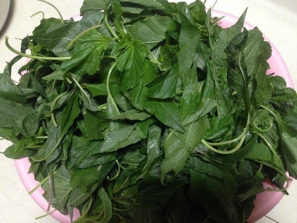 芹菜|秋天包饺子，韭菜芹菜靠边站，一斤2块钱，多汁鲜香全家都喜欢！