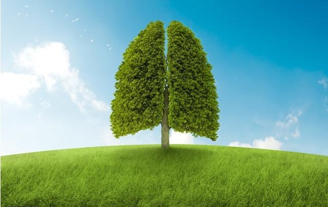 拇指|五脏最喜欢这个动作,每天做一次,强健心肝脾肺肾,疾病减少