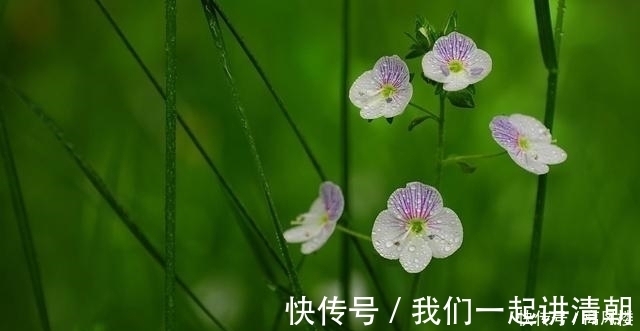 执手|9天后，牵手一次，执手一生，风柔雨润，良缘天赐，执手今生不离