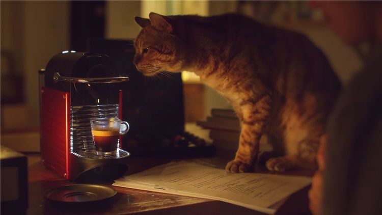 咖啡的新吃法，做得入口即化，口感顺滑颜值高