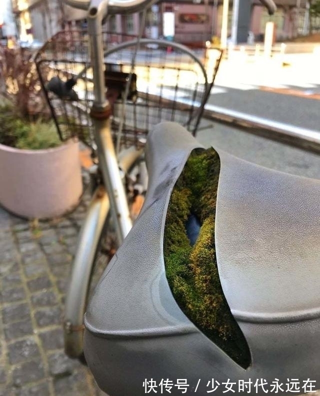 照片$30张“活久未见”的照片:被闪电击中的木头,好像一副国画