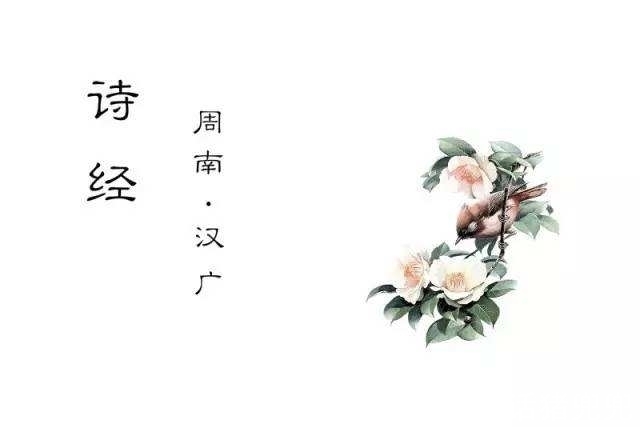 唐代$1300字极简文学史:从先秦到明清时代,各个朝代的文学代表类型