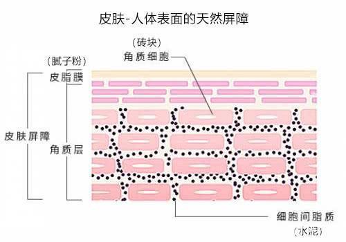 皮肤过敏|敏感肌是怎么造成的?注意这些行为,避免造成敏感肌