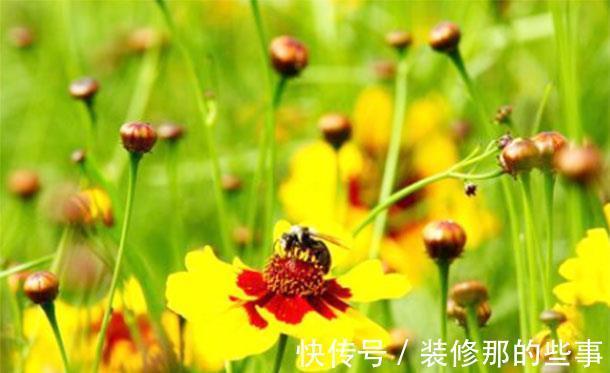 降血糖|天然的“胰岛素”找到了!糖尿病患者换着吃,降血糖,身体也健康