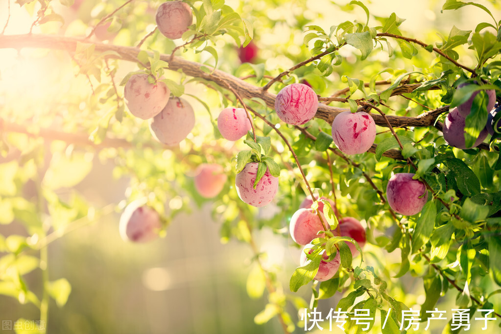 直播|一对一直播为什么能挣钱？一对一直播可以兼职吗？