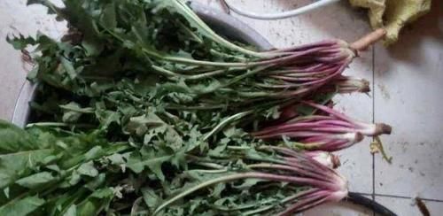 人到中年，推荐以下食物，补充营养，排毒抗衰，提高免疫力