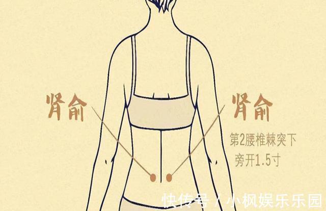 张仲景|张仲景：掌握生活“三部曲”，老了也能行“夫妻之道”