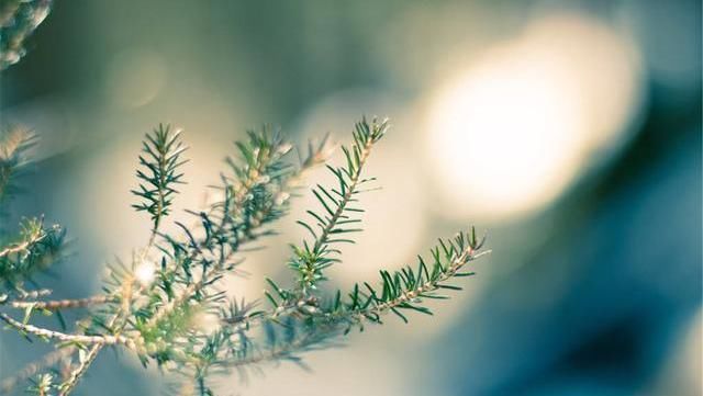  冬季，养生正当时，谨记一慢，少碰二物，坚持三相伴