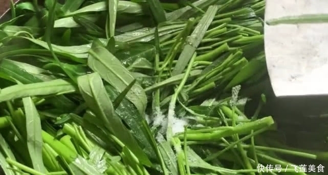 空心菜|农家下饭菜有哪些,一盘空心菜一盘炒蛋,端上桌开胃下酒两不误