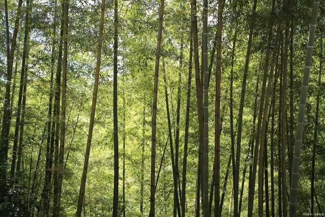  气度|易经智慧，坤卦:以品格立人，以气度处世