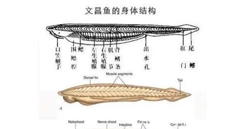 果冻|世界上的47个冷知识，您知道几个？