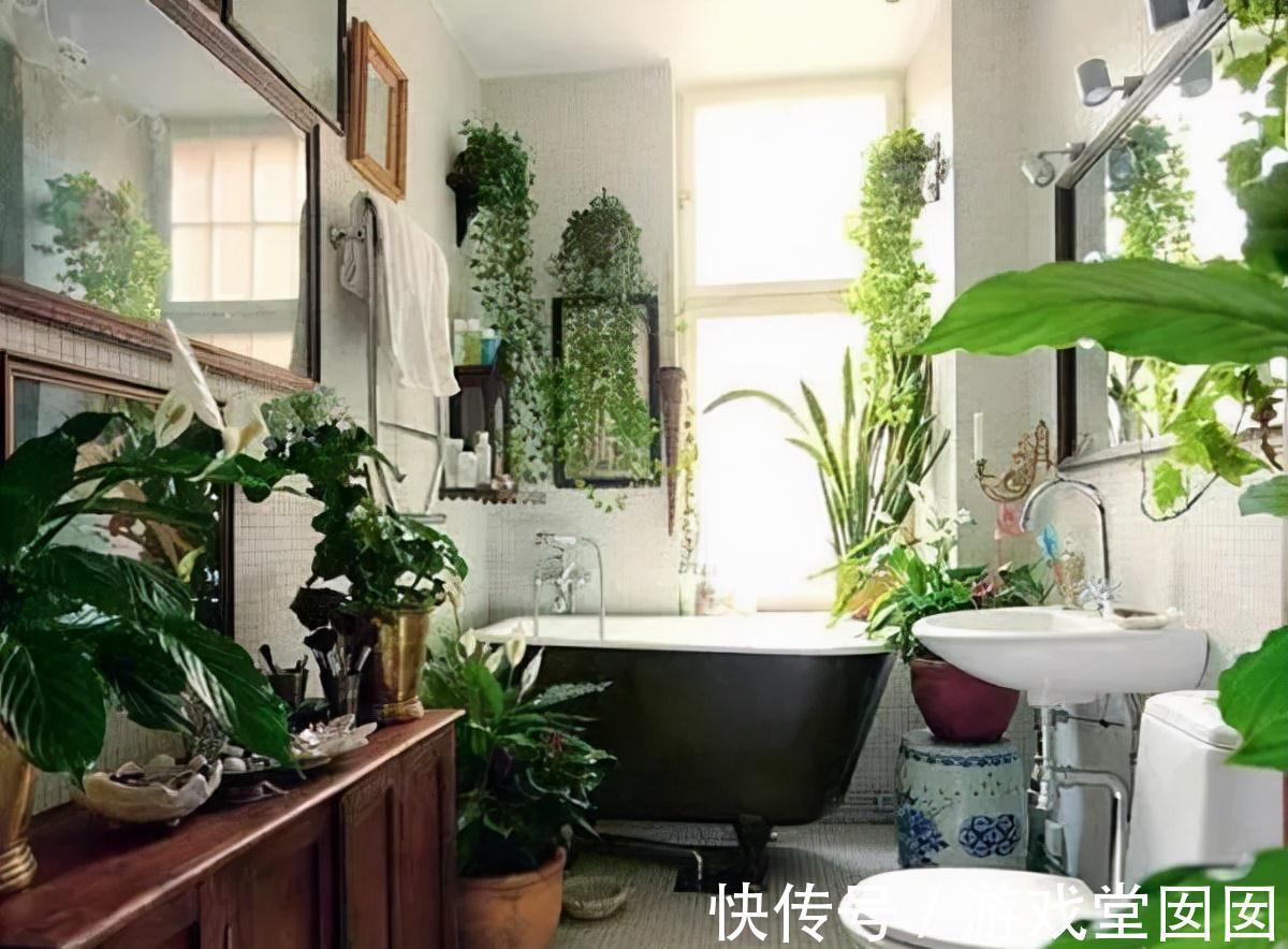 在家中这三个地方乱养花,说了也不听,难怪植物黄叶又烂根