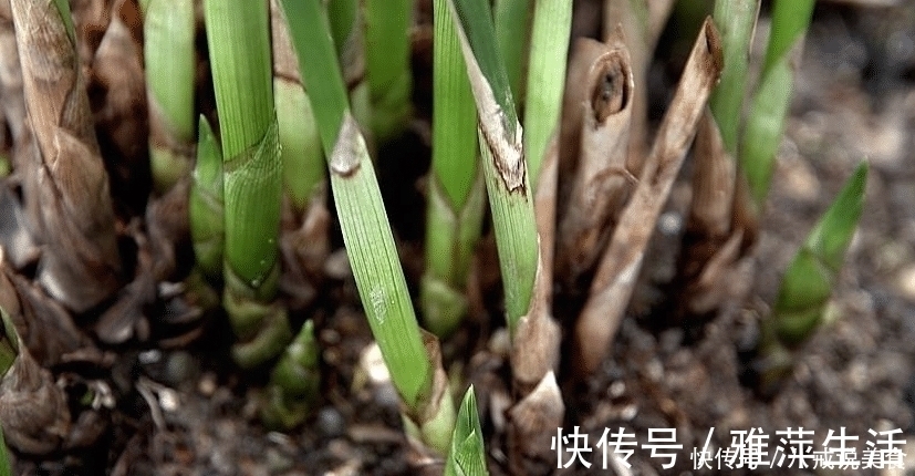 精明|外表看起来不聪明，但其实精明的很，不容易上当受骗的三大星座