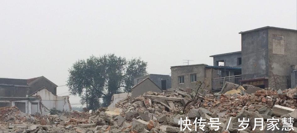 青苗|又要征地了!上海此地新建道路,征收土地4282.6平方米