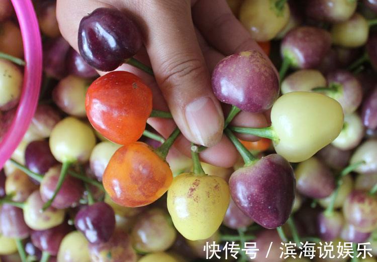 维生素c|女性不想老太快，常吃此物，雀斑没了，大肚子平了，越来越年轻