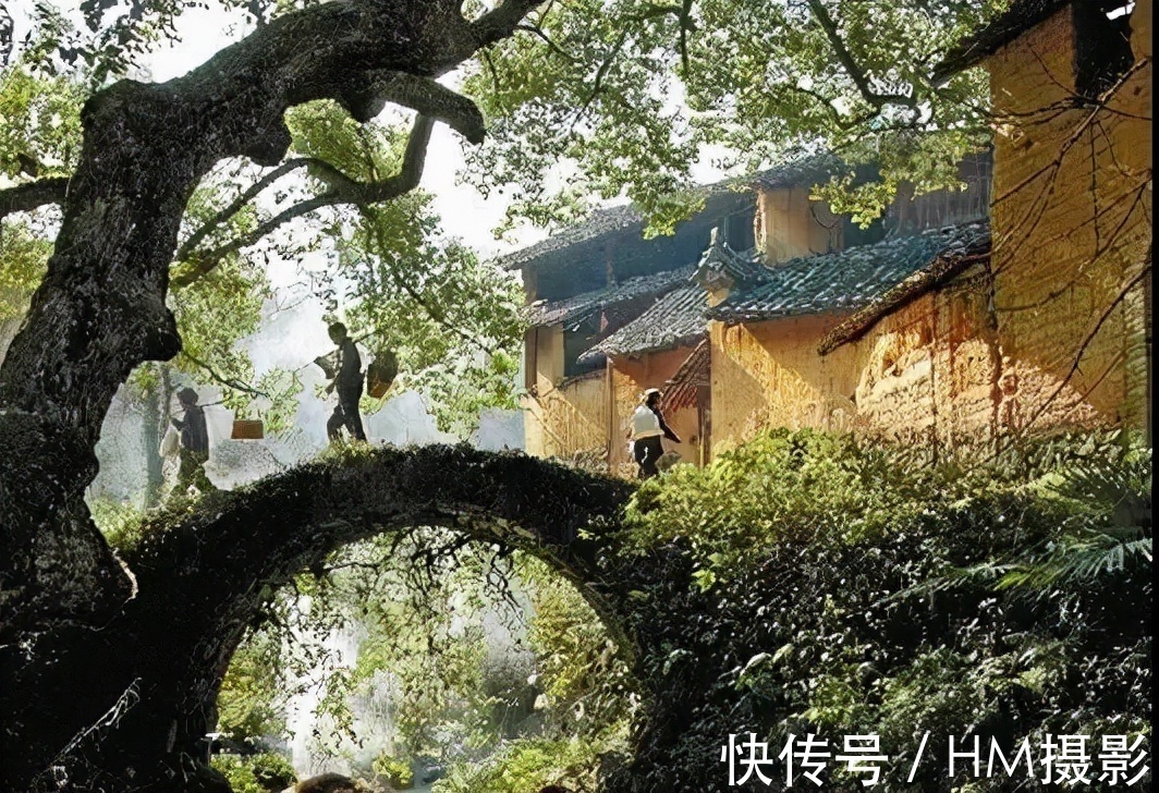 西塘|这个秋天，最适合一个人小住几日的12个静谧古镇，累了就出去走走