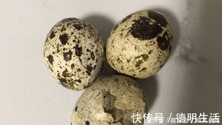 茴香|不吃肉也要吃它,1个胜过6个鸡蛋,孩子多吃眼睛明亮,头脑灵活