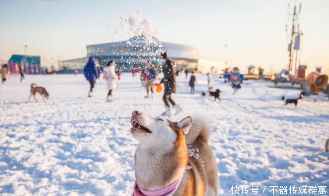 老年|徐凫岩步云谷,这个悬崖边上的房车营地,只需要自驾1小时