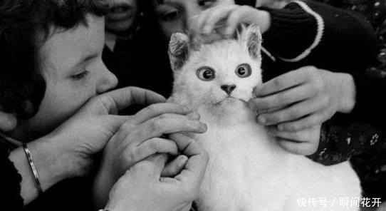 历史|一组罕见的老照片, 还原你未见过的历史