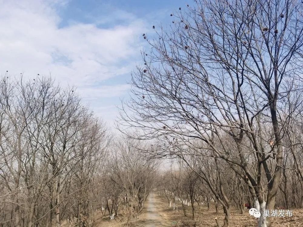 “天梯”串起山间美景！苏湾镇大寨山游客步行道即将开放！