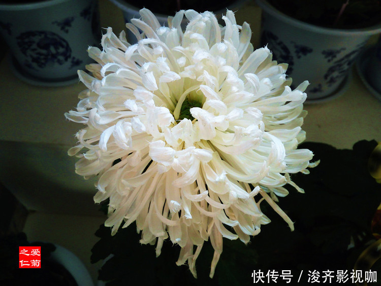生肖女|婚后最能管住丈夫的4个生肖女,毫不手软,却越管越有钱