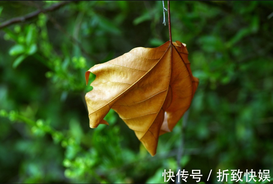 老友人$人到五十才明白,再有本事也要留住三个人,为晚年做好准备!