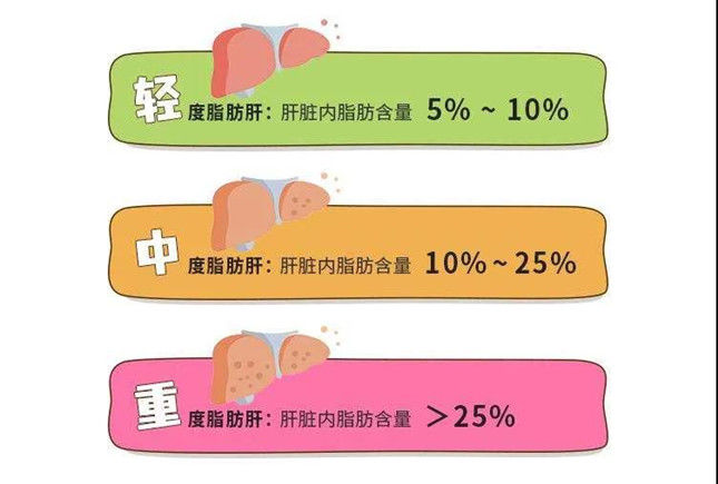 女孩|90斤素食女孩竟查出脂肪肝？专家提醒：纯素和过度节食也能诱发脂肪肝