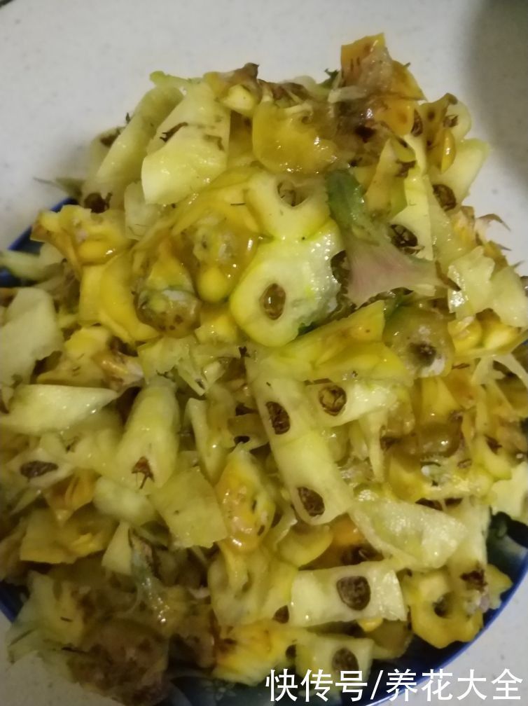 花盆|扔掉家里这些垃圾,就是扔钱,拿来养花特好用