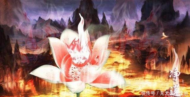 书中少数没|《斗破苍穹》中异火排名大全