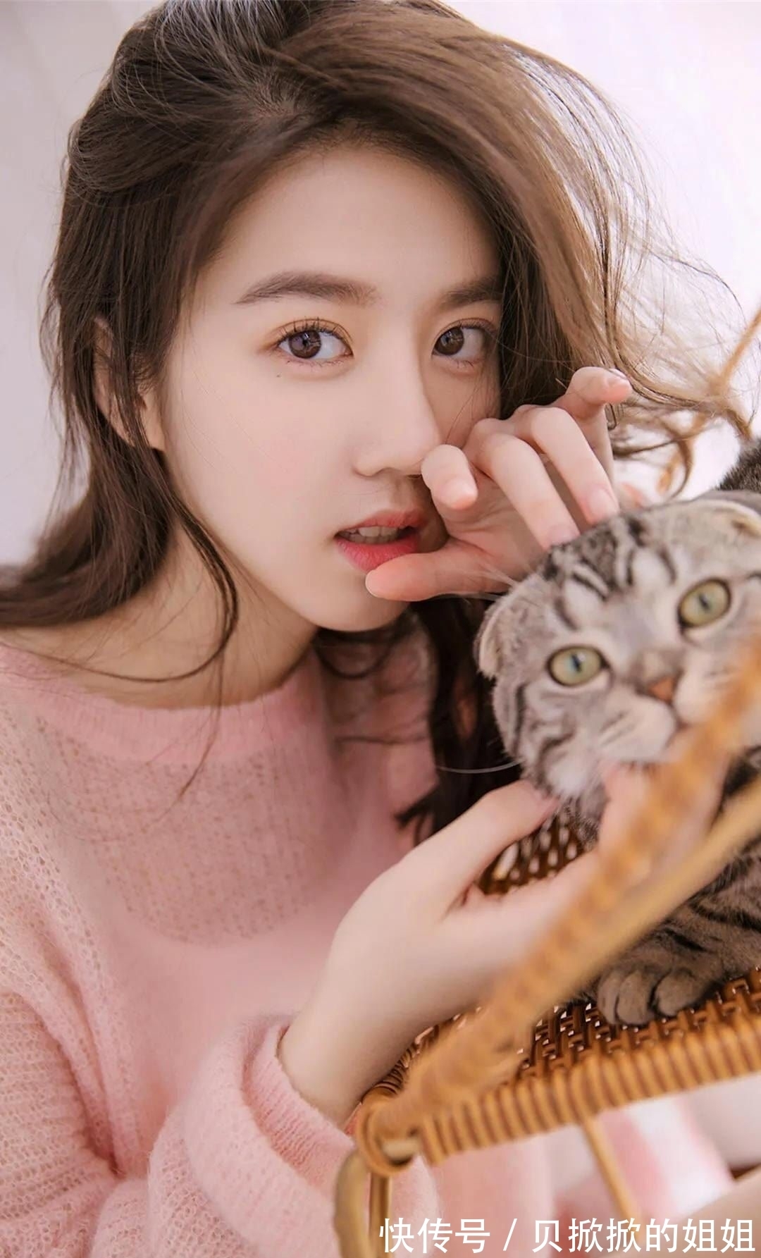 小姐姐|「壁纸」四十二章经(小姐姐)