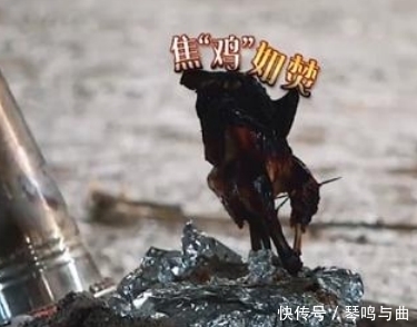 人设 黄大厨人设塌了,节目做饭又翻车,期待的烤鸡变乌鸦