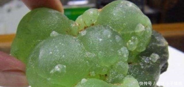 路上|女子带“绿葡萄”鉴宝,称路上捡,全场哄笑,专家:你们太无知