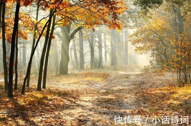 湖面@开场即巅峰,未来有可待:苏轼在杭州西湖,写下了人生的第一首词