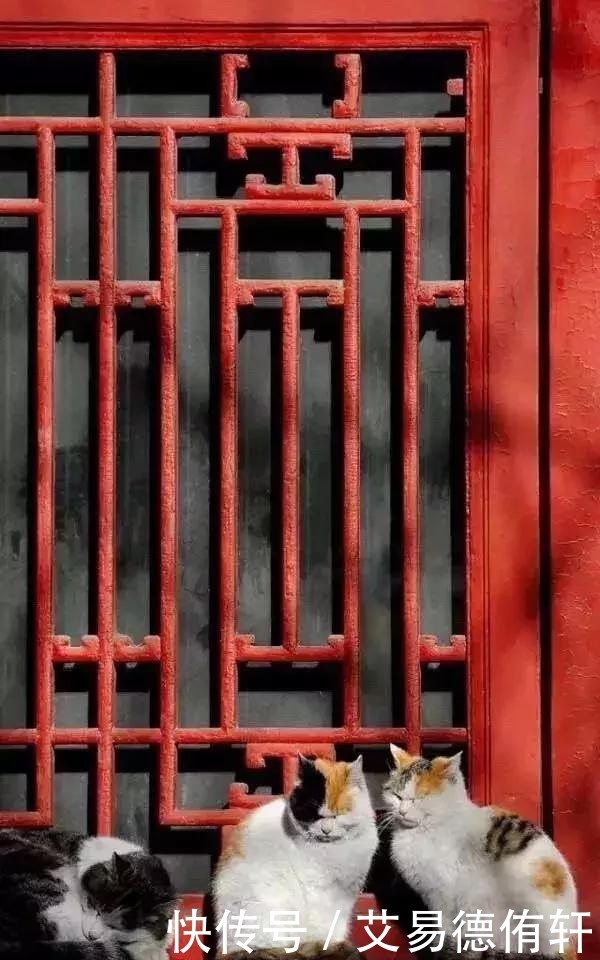 滋润|“我们失去的极品文物,正滋润着美国精神”