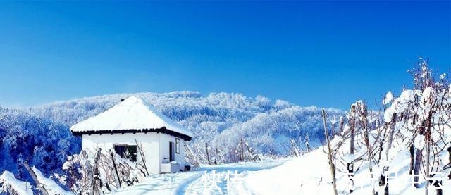 萝卜不要腌着吃了,教你一个新方法比吃肉还过瘾,我家经常吃!