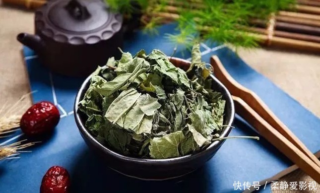 1片桑叶9味良药!老中医教你桑叶妙用,9大功效受用一生!