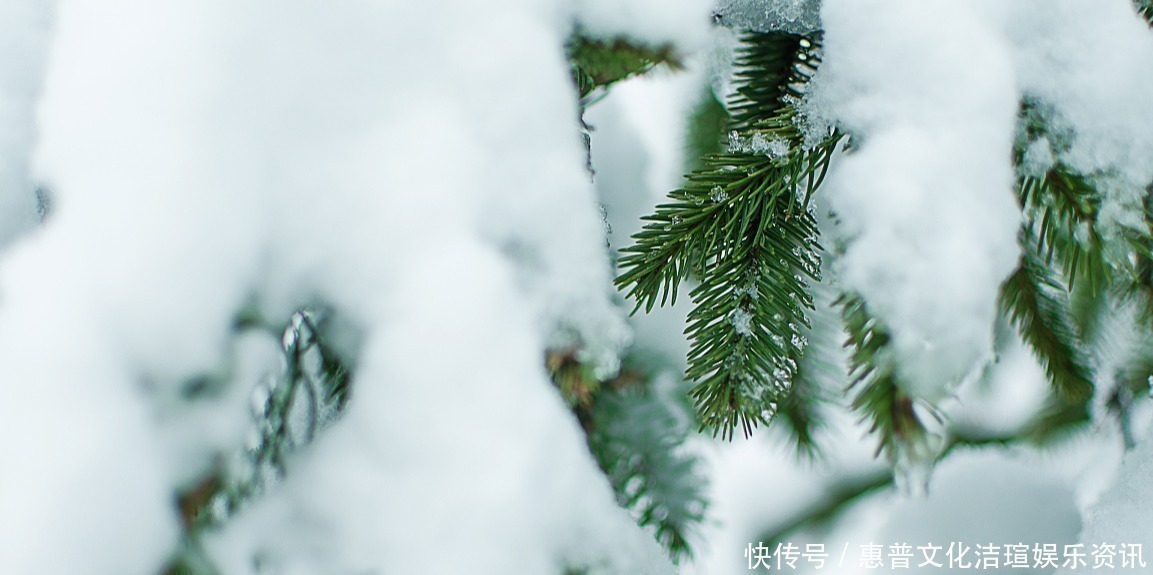 咏雪|白居易深夜被冻醒,写下一首20字小诗,新颖别致,被誉为咏雪佳作